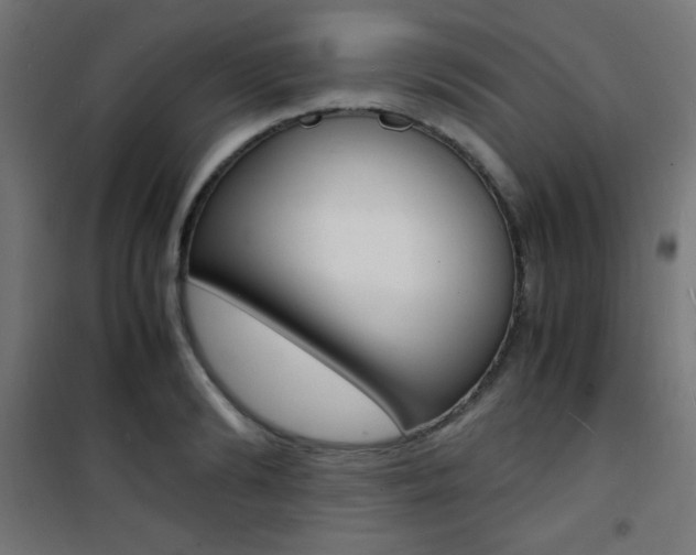 X0000101480894200807071240
