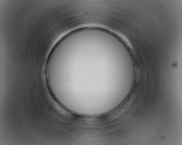 X0000101480895200807071240