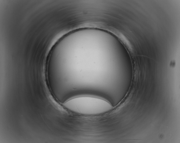 X0000101480896200807071240