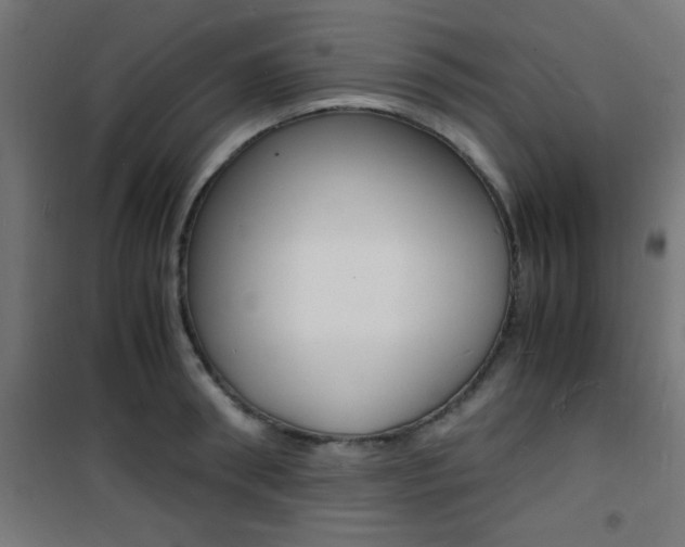 X0000101480898200807071240