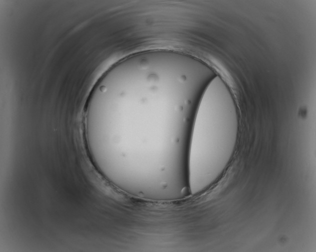 X0000101480899200807071240
