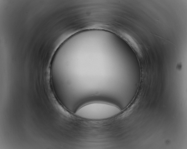 X0000101480900200807071240