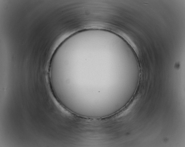 X0000101480901200807071240