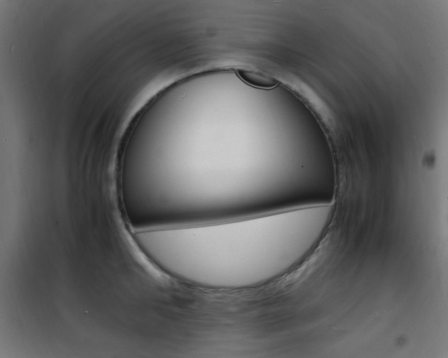 X0000101480902200807071240