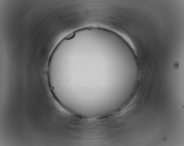 X0000101480903200807071240