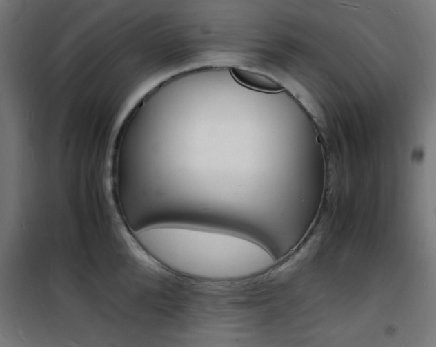 X0000101480904200807071240