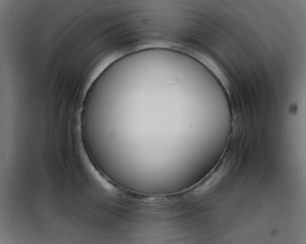 X0000101480906200807071240