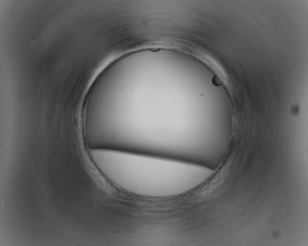 X0000101480907200807071240