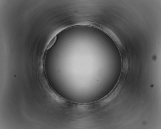 X0000101480908200807071240