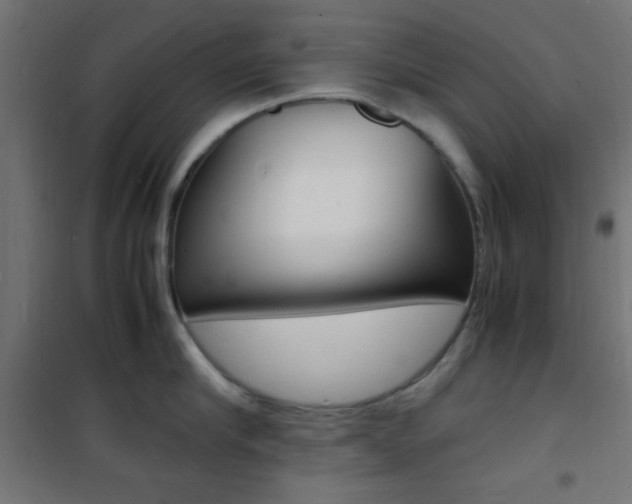 X0000101480910200807071240