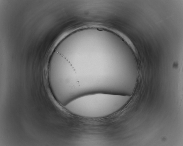X0000101480911200807071240