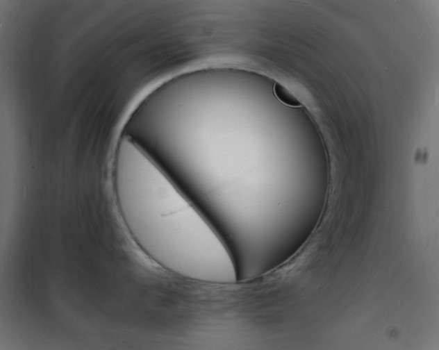 X0000101480912200807071240