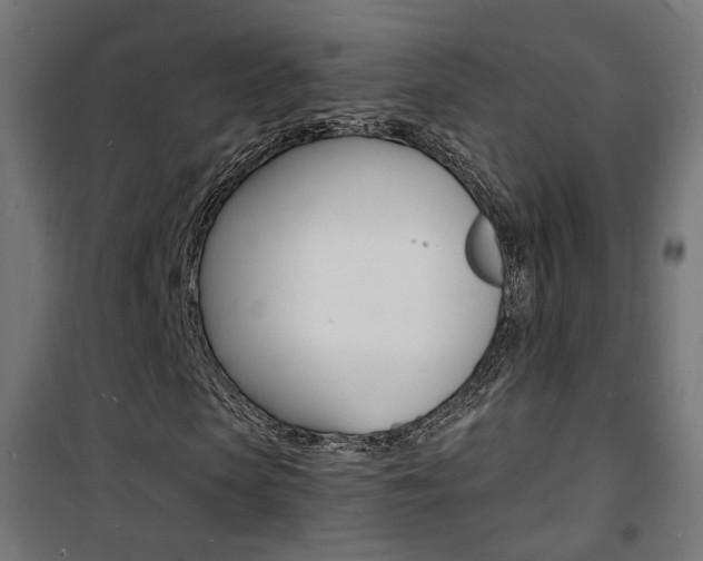 X0000101480913200807071239