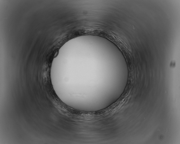 X0000101480914200807071239