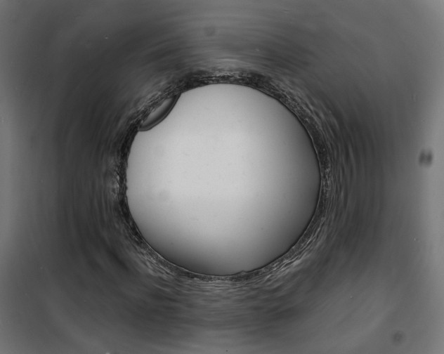 X0000101480916200807071239