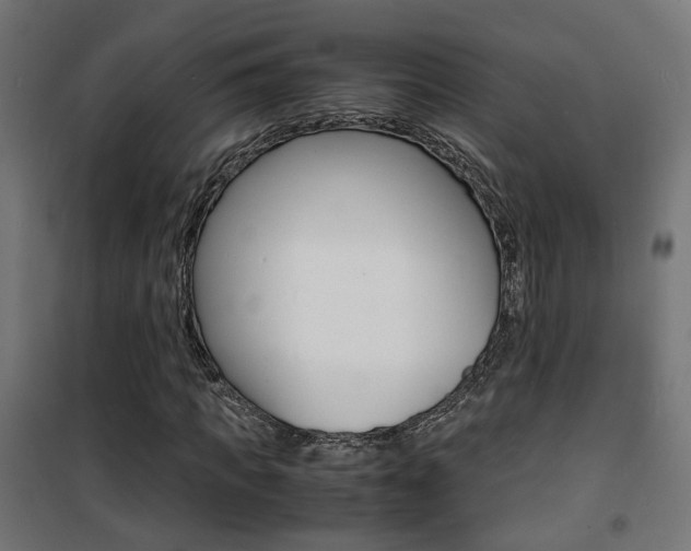 X0000101480917200807071239