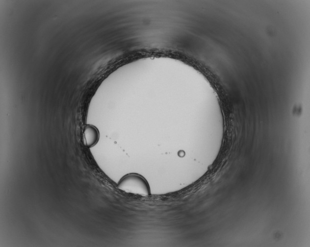 X0000101480918200807071239