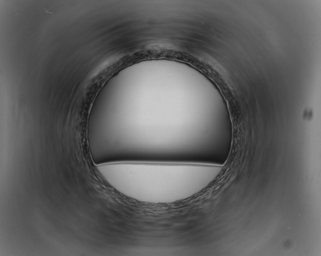 X0000101480919200807071239