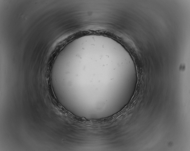 X0000101480920200807071239