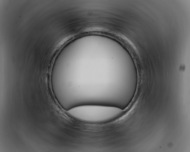 X0000101480921200807071239