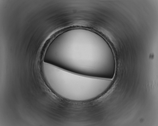 X0000101480923200807071239