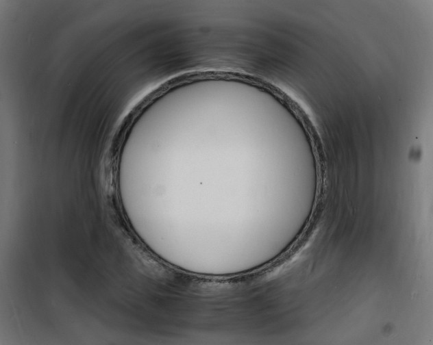 X0000101480925200807071239