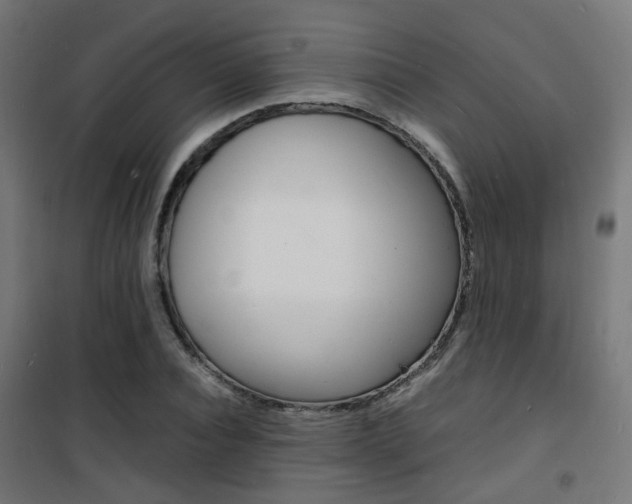 X0000101480928200807071239