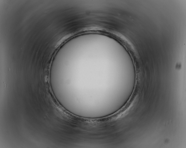 X0000101480929200807071239