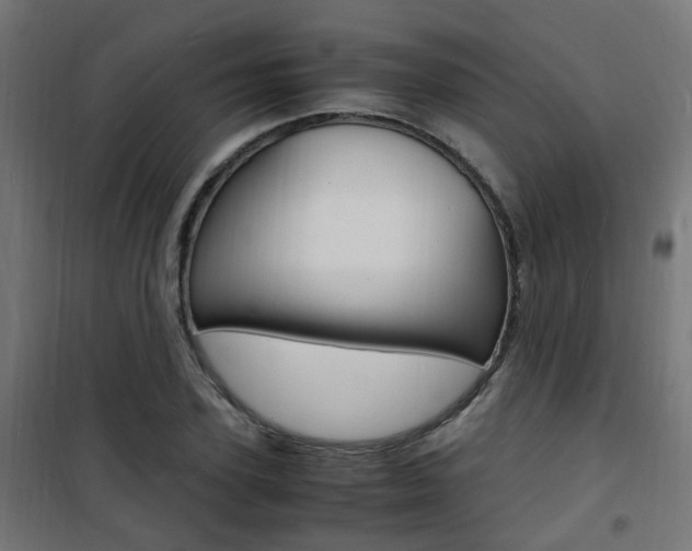X0000101480931200807071239