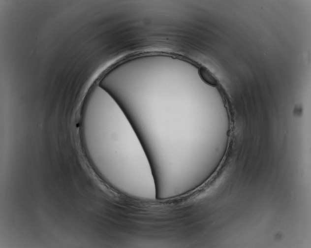 X0000101480933200807071239