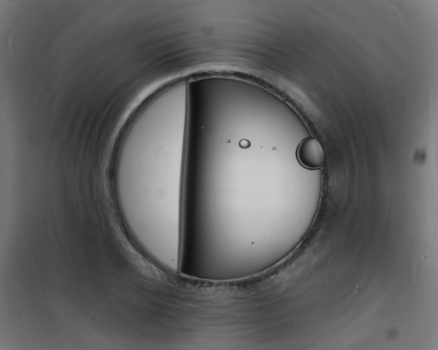 X0000101480934200807071239