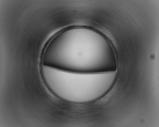 X0000101480935200807071239