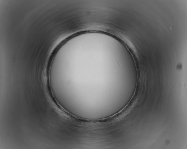 X0000101480936200807071239