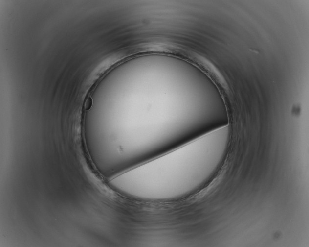X0000101480938200807071239
