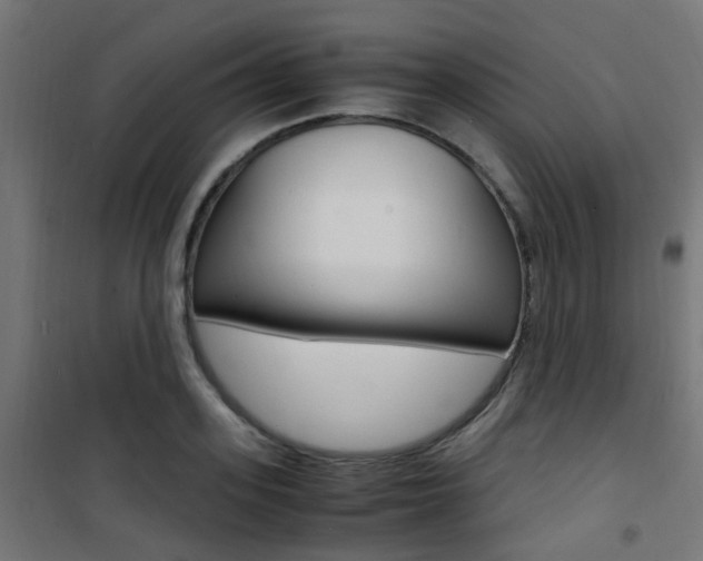 X0000101480939200807071239