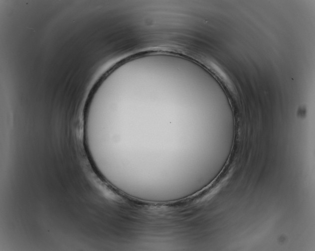 X0000101480940200807071239