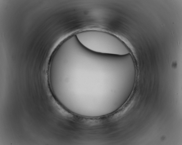 X0000101480941200807071240