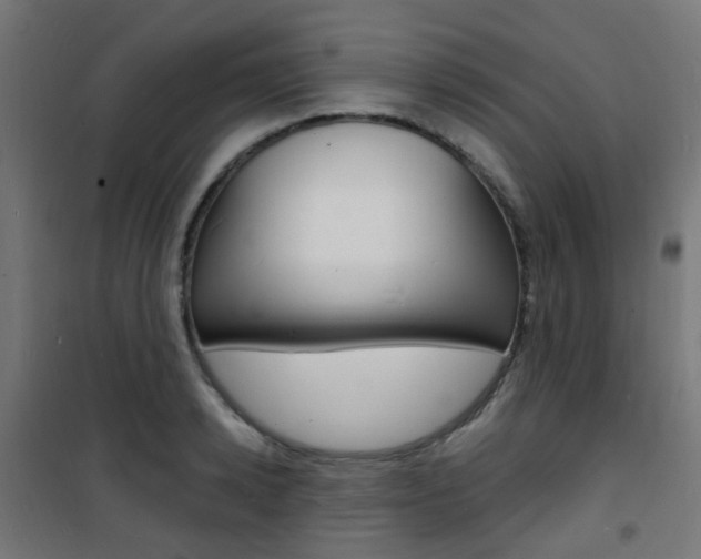 X0000101480942200807071240