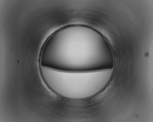 X0000101480943200807071240