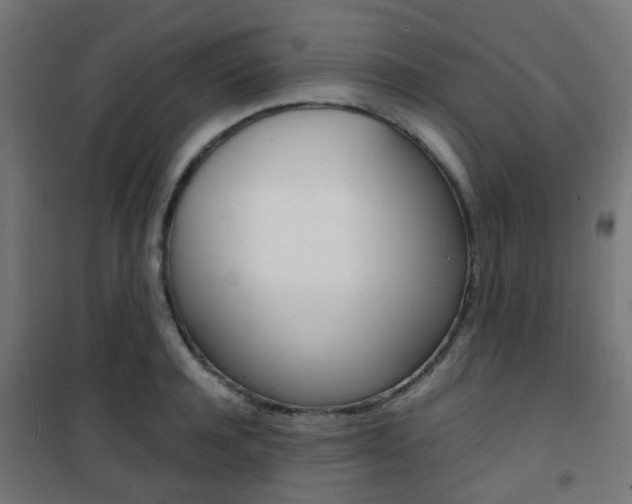 X0000101480944200807071240