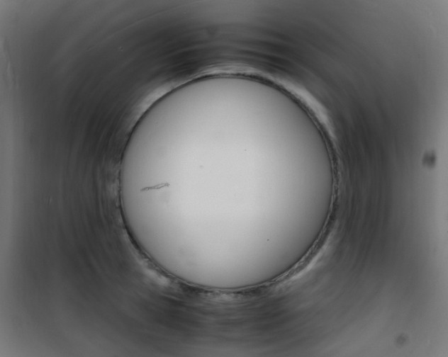 X0000101480945200807071240