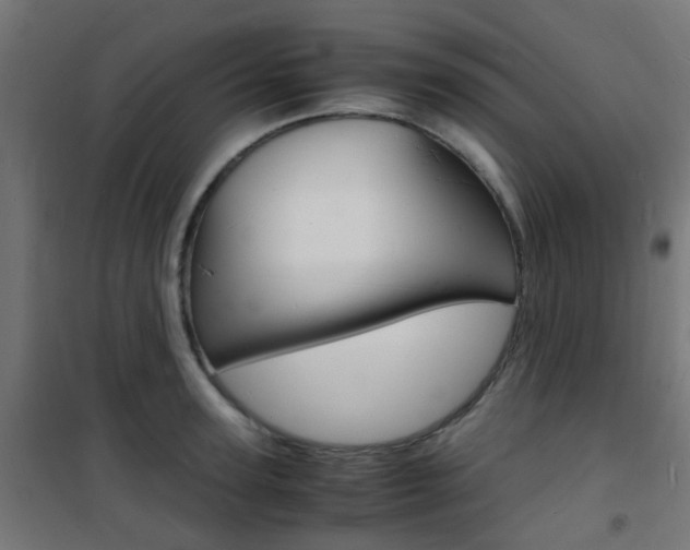X0000101480947200807071240