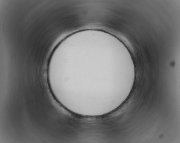 X0000101480950200807071240