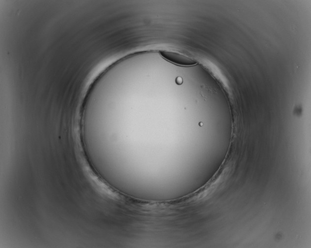 X0000101480952200807071240