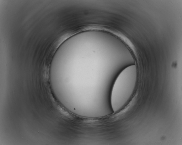 X0000101480953200807071240
