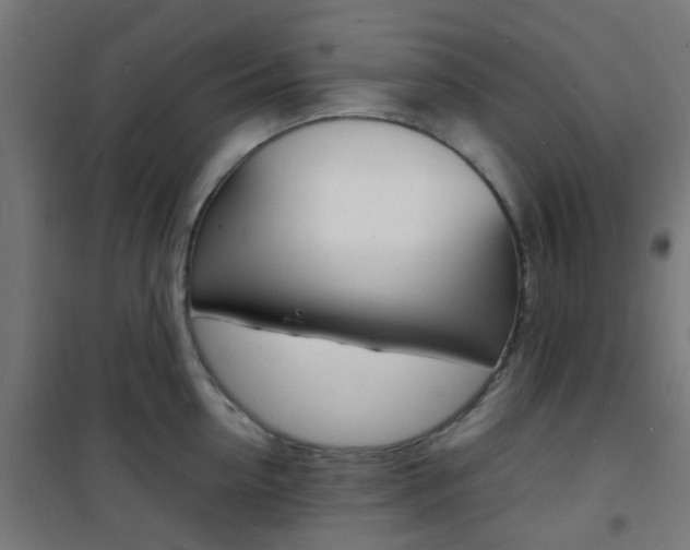 X0000101480954200807071240