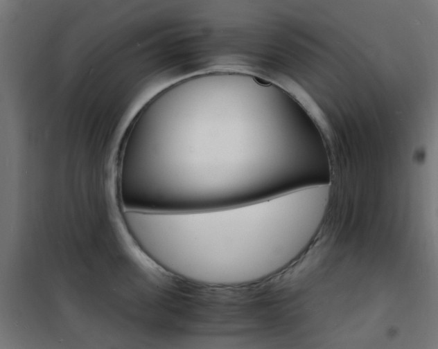 X0000101480955200807071240