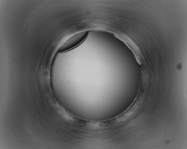 X0000101480956200807071240