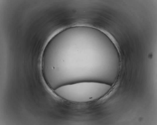 X0000101480957200807071240