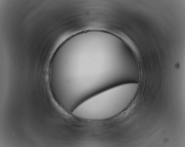 X0000101480958200807071240